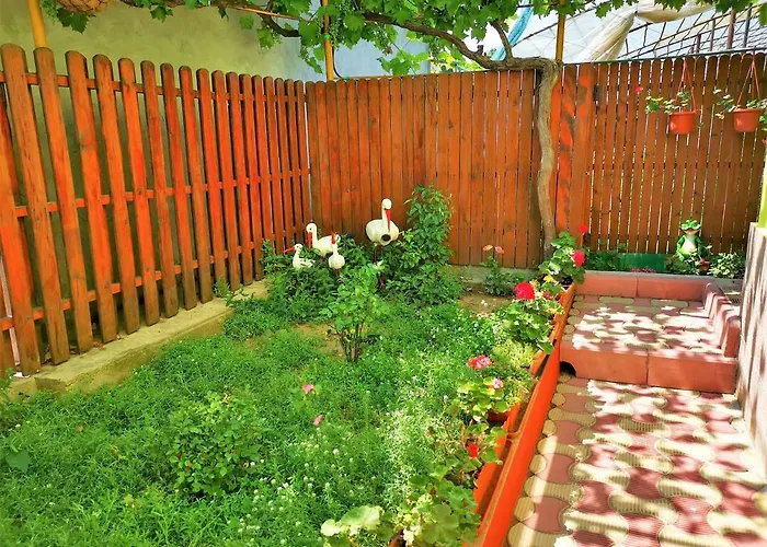 Casa Nelu Pescaru