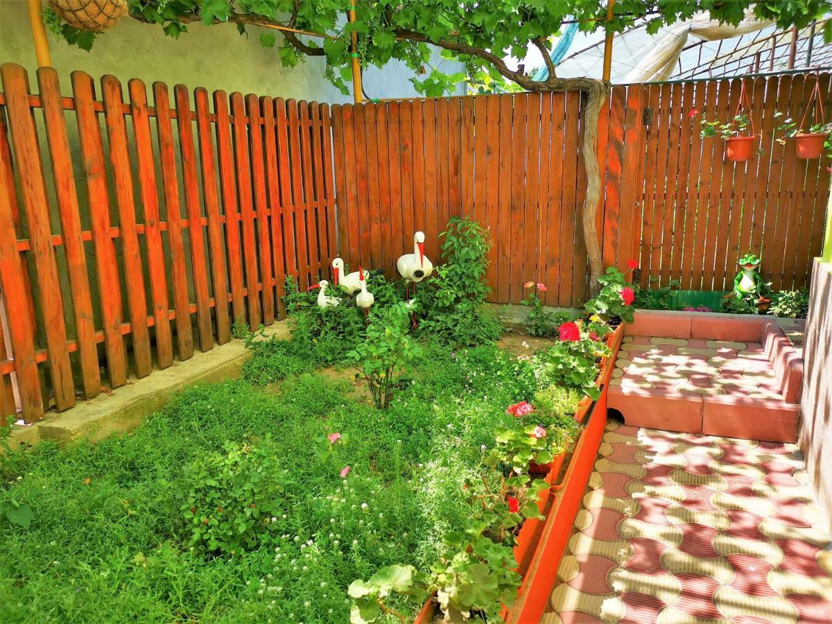 Guest house Casa Nelu Pescaru